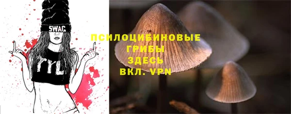 амф Арсеньев