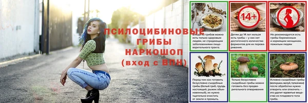 амф Арсеньев