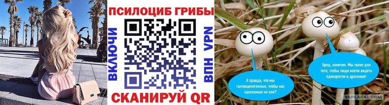 цена наркотик  OMG как зайти  Псилоцибиновые грибы мицелий  Сортавала 